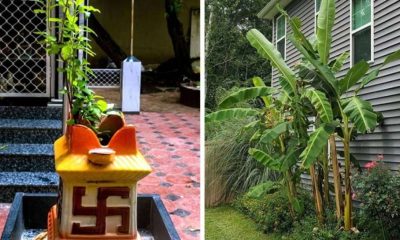 vastu-tips-for-banana-tree-best-direction-for-banana-tree