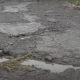 Reached the gates of Sihor's Surka and saw the condition of the road.