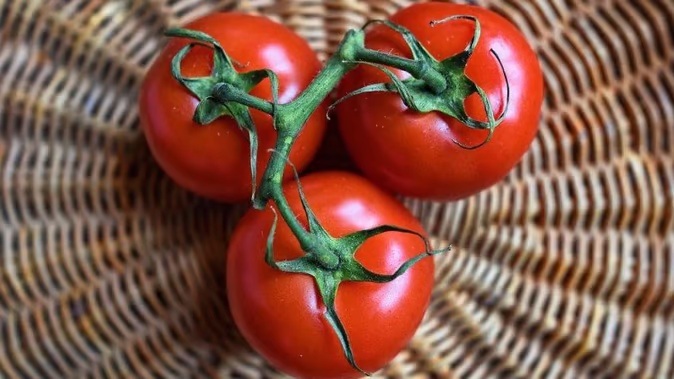 tomatoes-benefits-and-side-effects