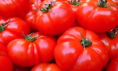 tomatoes-benefits-and-side-effects