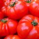 tomatoes-benefits-and-side-effects