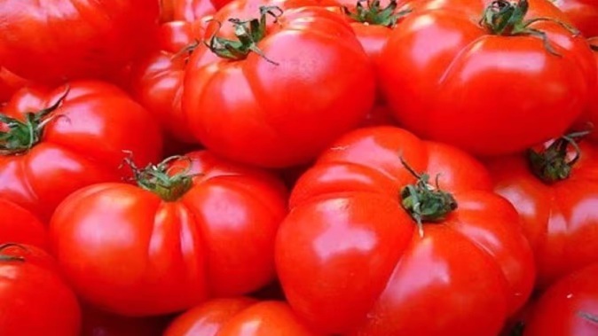 tomatoes-benefits-and-side-effects