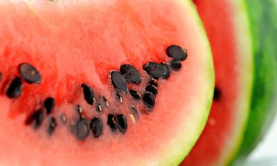 Watermelon seeds are a storehouse of qualities! Helps in overcoming diseases like diabetes, sugar, blood pressure