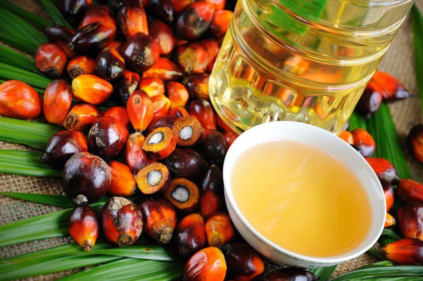imports-of-refined-palm-oil-increased-2-7-times-in-11-months