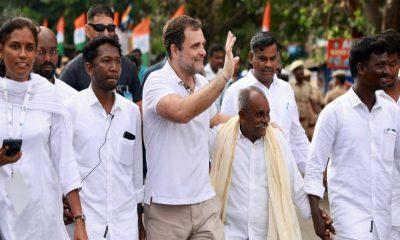 rahul-gandhi-started-his-padayatra-on-the-41st-day-from-kurnool-in-andhra-pradesh-in-which-many-activists-participated