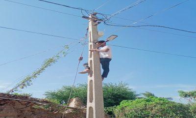 The lighting in Gandhol village in the lap of Palitana hill created a sense of security against the danger of Rani cattle.