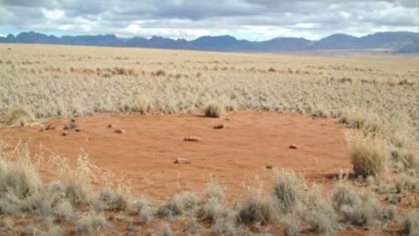 thousands-mysterious-fairy-circles of Trees in-african-desert