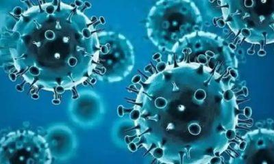 omicrons-new-variant-does-not-kill-with-antibodies-know-how-it-infects-people