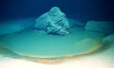 deadly-pool-found-in-red-sea-can-kill-anything