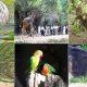 must-visit-these-famous-zoo-in-india-once-with-children