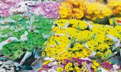 in-the-district-including-sihore-the-prices-of-various-types-of-flowers-were-booming