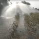 Water fountains erupted after a rupture in Namada's pipeline near Ghanghani in Sihore.