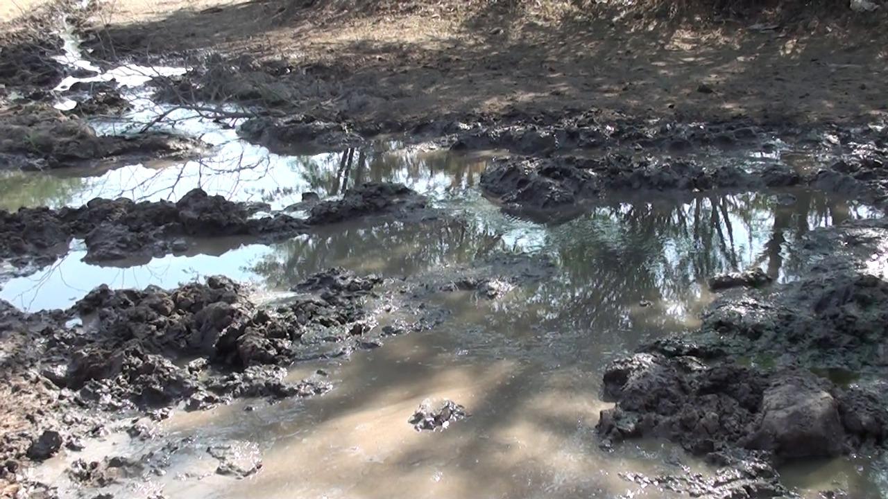 Do you want to see development? So go to Ukharla village of Sihore; It's like hell here