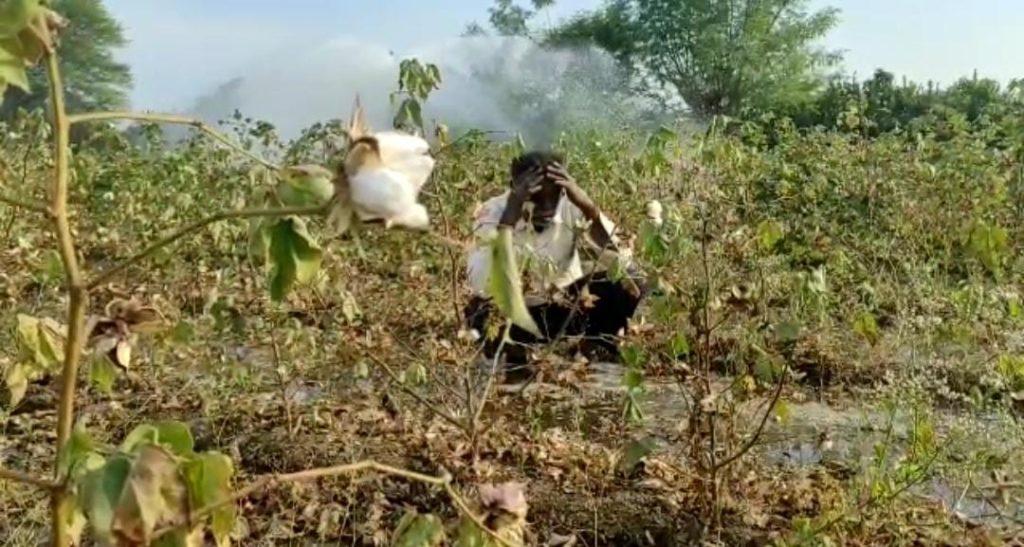 Leakage of millions of liters of water in Narmada line near Ghangli, Sihore; Water entered the farmers' fields