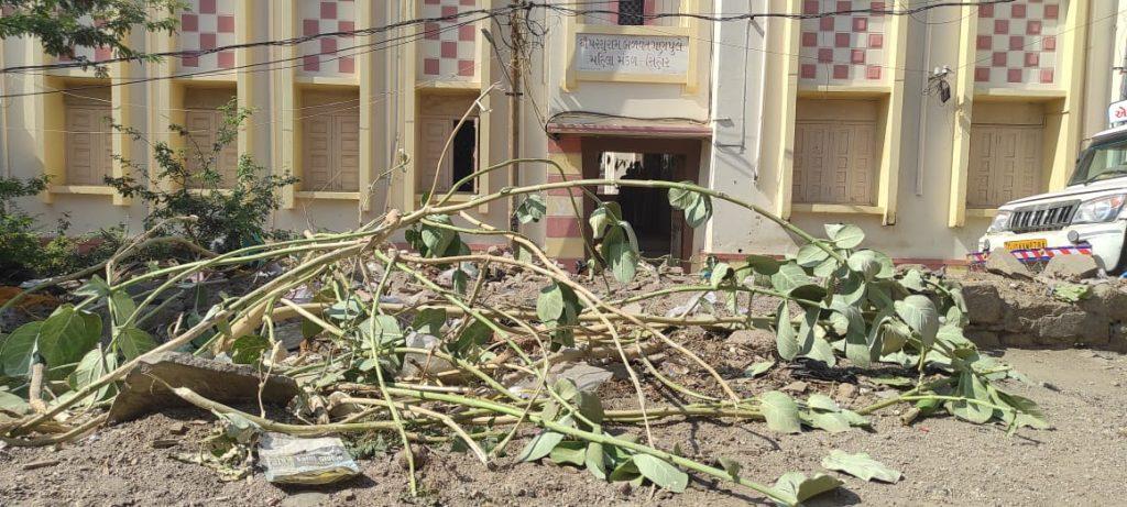 Sihore Ganapule near Mahila Mandal in such a condition that he would tear his head; A musty area