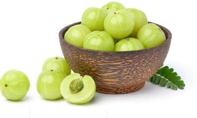 The benefits of amla are benefits! Nanisu's illness will not even come close