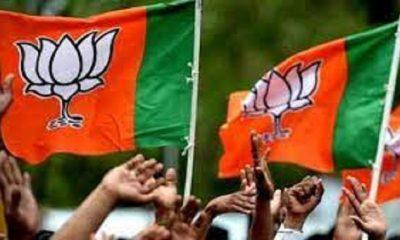 rebel-leaders-for-bjp-in-gujarat-state-contesting-on-these-seats-as-independent-candidate
