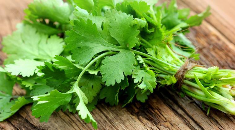 Health Tips: Coriander can lower cholesterol, know its other health benefits