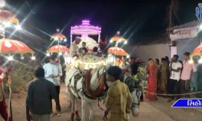 a-grand-celebration-of-tulsi-marriage-takes-place-in-sihore-city-and-taluka-with-great-enthusiasm