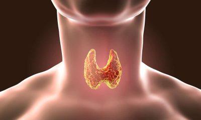 Thyroid symptoms can be severe in winter, keep these things in mind