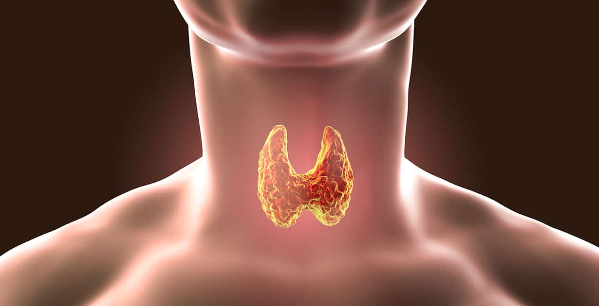 Thyroid symptoms can be severe in winter, keep these things in mind