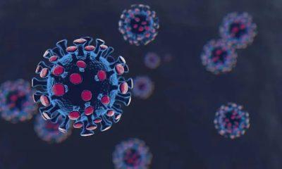 Three patients infected with the new type of corona BF.7 recovered in home isolation