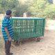 Dera tent of leopard family in Sihore town: Forest department put up cages at different places