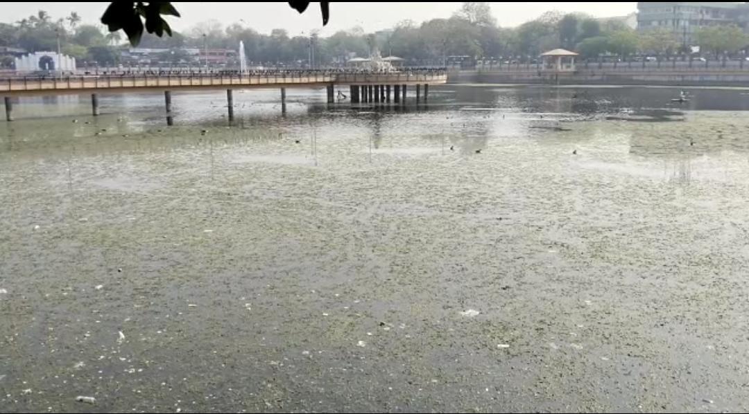 Bhavnagar Ganga Jaliya lake became drain Ganga ; Anger among life lovers