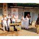 Service programs by Arham Yuva Seva Group in Bhavnagar