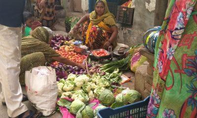 Sihore - Big income of vegetables in winter, prices falling, cheer housewives