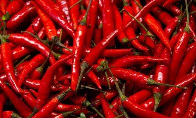 These 5 Red Chilli Tricks Remove All Job-Business Obstacles, Those Who Have Been Using