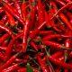 These 5 Red Chilli Tricks Remove All Job-Business Obstacles, Those Who Have Been Using