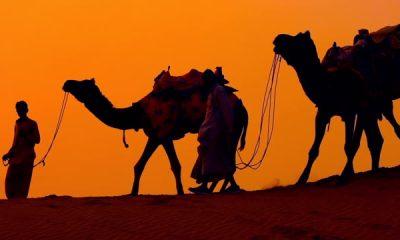 Rajasthan Winter Trip: Rajasthan is so beautiful, must visit these 5 cities!