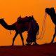 Rajasthan Winter Trip: Rajasthan is so beautiful, must visit these 5 cities!