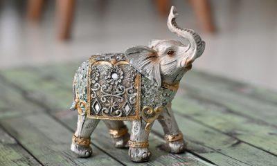 Feng Shui Tips: Is an elephant statue at home auspicious or inauspicious? You will be surprised to know these things said in Feng Shui