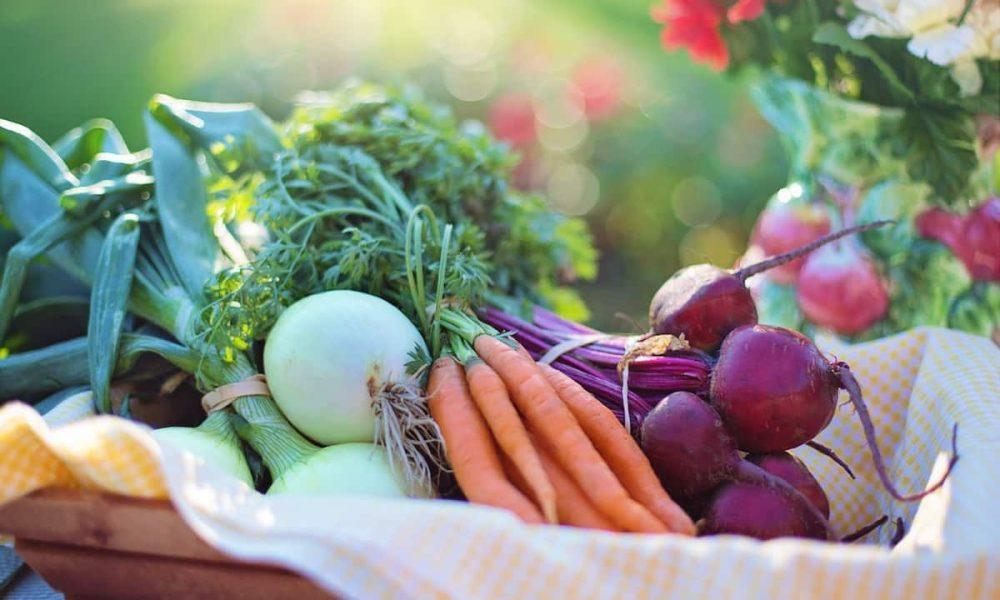 Winter vegetables: Eat these 4 vegetables in winter, stay away from diseases