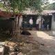 bhojpara-village-near-sihore-killed-a-middle-aged-stray-cattle