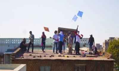 It is necessary to risk one's life while flying a kite in Uthrayan Parva