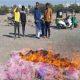 malanath-group-collected-and-destroyed-21-kg-of-string-hanging-everywhere-after-the-completion-of-uttarayan-festival