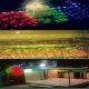 ursh-mubarak-of-raudsha-pir-will-be-celebrated-today-at-vadiya-village-of-sihore