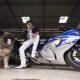 An Indian man bought a special dog, the price of which would cost 2 helicopters