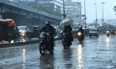 Farmers are worried due to unseasonal rain in areas including Surat and Bharuch