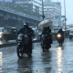 Farmers are worried due to unseasonal rain in areas including Surat and Bharuch