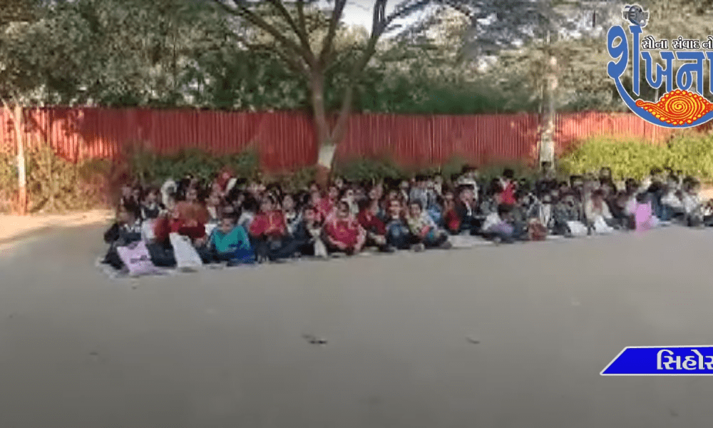 A winter sports festival was organized by the school family in the Vidyamanjari Jnanapeeth campus of Culture School.