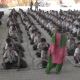 Fire training of Sihor Municipality was organized today at Sihor Vidyamanjari Gyanpeeth Campus.