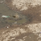 On the way to Sihore Gautameshwar temple, dirt is flowing from the open lid of the drain near the graveyard.