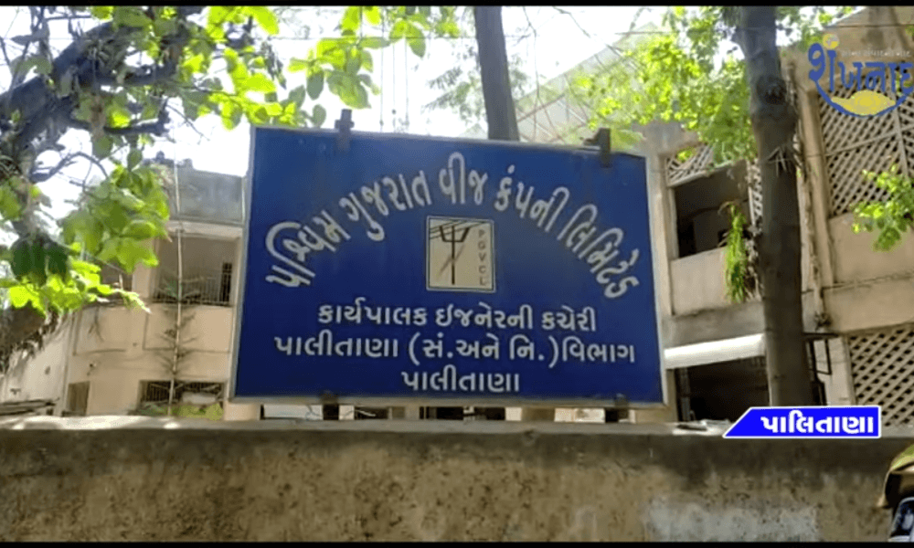 Electricity checking was carried out by eight different teams of PGVCL staff in the rural areas of Palitana.