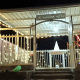 Mahashivratri worship and temple decorations are being prepared in Shiva temples.