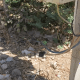 Sihore municipality's water connection cut off while paying light bill....