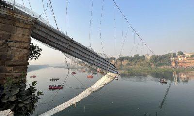 22 out of 49 cables of Morbi bridge broke before collapse, SIT report reveals